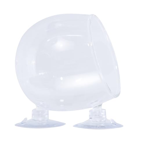 Hydrokultur-Pflanzen-Glasbecher für den Heimgebrauch, Aquarien mit starkem Saugnapf für sichere Aquarien und Pflanzen Hydrokultur-Pflanzen-Glasbecher für den Heimgebrauch, Aquarien mit starkem Saugnapf für sichere Aquarien und Pflanzen von LEIDJGUN