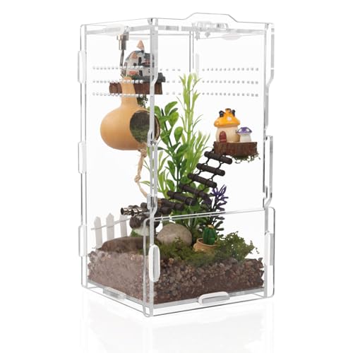 20,3 x 10,2 x 10,2 cm vertikales Springspinnengehege aus Acryl – Arboreal Tarantel & Reptilien-Terrarium für Schlingechsen, Geckos, Schnecken 20,3 x 10,2 x 10,2 cm vertikales Springspinnengehege aus Acryl – Arboreal Tarantel & Reptilien-Terrarium für Schlingechsen, Geckos, Schnecken von LEIZHENZI