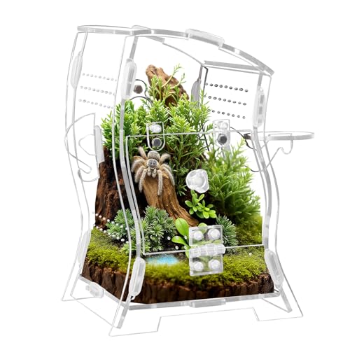 Acryl-Terrarium-Set, Springspinnengehege und Vogelspinne, sicherer Lebensraum für Mantis, Reptilien, Skorpione, 11,4 x 11,4 x 18,5 cm, Cricket-Wächter mit magnetischen Türen und Belüftung Acryl-Terrarium-Set, Springspinnengehege und Vogelspinne, sicherer Lebensraum für Mantis, Reptilien, Skorpione, 11,4 x 11,4 x 18,5 cm, Cricket-Wächter mit magnetischen Türen und Belüftung von LEIZHENZI