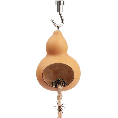 Handgefertigtes Springgehege aus natürlichem Kürbis, Zubehör für Springspinnen, perfekte Lebensraumdekoration für Spinnenliebhaber Handgefertigtes Springgehege aus natürlichem Kürbis, Zubehör für Springspinnen, perfekte Lebensraumdekoration für Spinnenliebhaber von LEIZHENZI
