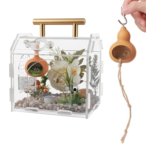 LEIZHENZI Metallgriff-Springspinnengehege - Acryl - Ideal für Vogelspinnen & mehr - Magnetknöpfe & Bajonett-Schalter - Perfekt für Vogelspinnengehege LEIZHENZI Metallgriff-Springspinnengehege - Acryl - Ideal für Vogelspinnen & mehr - Magnetknöpfe & Bajonett-Schalter - Perfekt für Vogelspinnengehege von LEIZHENZI