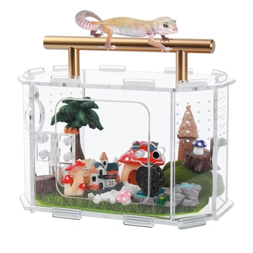 Springspinnengehege aus Acryl mit magnetischen Druckknöpfen – ideale Spinnen-Futterbox mit Griff Springspinnengehege aus Acryl mit magnetischen Druckknöpfen – ideale Spinnen-Futterbox mit Griff von LEIZHENZI
