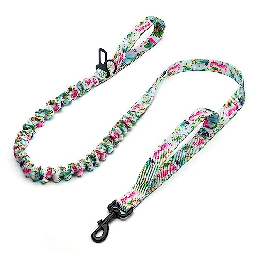 Hundegeschirr-Halsband, 1,52 m, Hundekotbeutelhalter-Set, reflektierend, verstellbar, kein Ziehen, Hundegeschirr mit Sicherheitsverschluss, einfacher Kontrolle, für kleine, mittelgroße und große von LEKAIGO