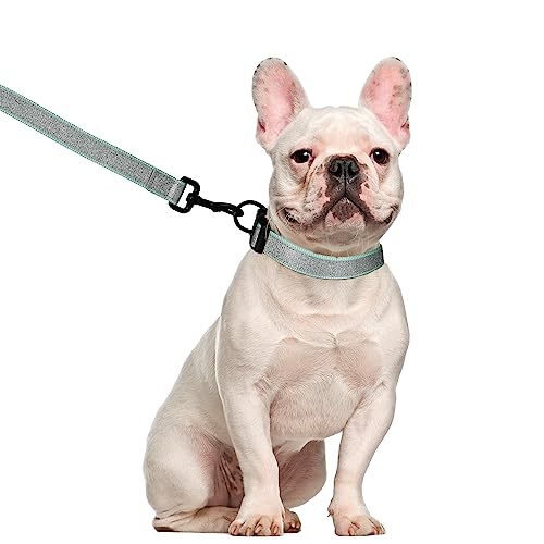 Hundegeschirr-Halsband, 1.5 m, reflektierend, verstellbar, kein Ziehen, Hundegeschirr mit Sicherheitsverschluss, einfache Kontrolle, für kleine, 2 Stück (glitzerndes Halsband + Leine), Größe M-Grün von LEKAIGO