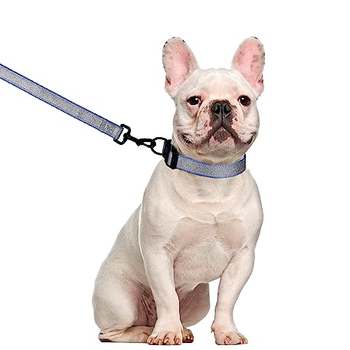 Hundegeschirr-Halsband, 1.5 m, reflektierend, verstellbar, kein Ziehen, Hundegeschirr mit Sicherheitsverschluss, einfache Kontrolle, für kleine, 2 Stück (glitzerndes Halsband + Leine), S-Blau von LEKAIGO