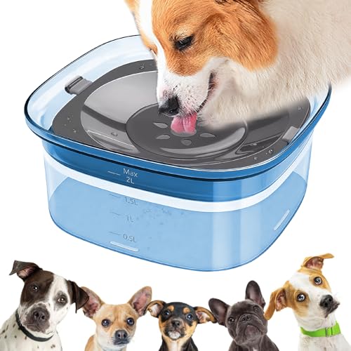 Wassernapf ohne Verschütten für Hunde: LEKEFETO 2L Hundenapf ohne Sabbern, Wassernapf für Hunde, Trinknapf Hund, für Katzen Haustiere, Auslaufsicherer & Rutschfester Anti Schlabber - Blau Wassernapf ohne Verschütten für Hunde: LEKEFETO 2L Hundenapf ohne Sabbern, Wassernapf für Hunde, Trinknapf Hund, für Katzen Haustiere, Auslaufsicherer & Rutschfester Anti Schlabber - Blau von LEKEFETO