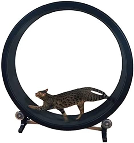 Laufrad für Katzen Katzen-Laufrad Katzen-Klettergerüst Katzenspielzeug-Rolle Katzen-Laufband Katzen-Gewichtsabnahme-Gerät für die Gewichtsabnahme und die tägliche Bewegung von Haustieren für Katzen Bewegungsrad von LELAMP