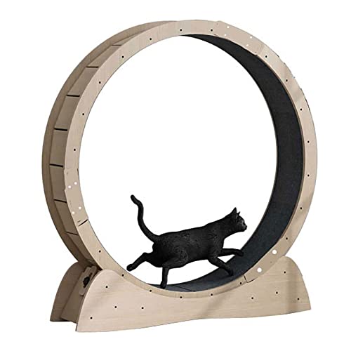 Laufrad für Katzen Katzenrad Katzenrad Roller Mute Cat Laufband Katzenrad Trainingsgerät Haustierspielzeug Katzenspielzeug Katzenrad Trainingsgerät für Gewichtsverlust und Bewegung bei Haustieren für Katzen Bewegungsrad von LELAMP