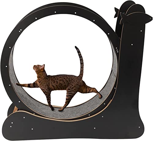 Laufrad für Katzen Laufband für Katzen, Haustierspielzeug, runde Laufräder, Laufrad für Katzen im Innenbereich, Laufbahn mit Teppichboden für Gewichtsverlust und Bewegung von Haustieren für Katzen Bewegungsrad von LELAMP