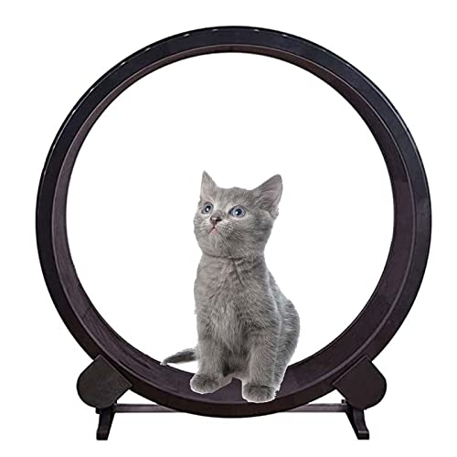 Laufrad für Katzen Laufband für Katzen, Laufband, Riesenrad, Haustier, Katze, Klettergerüst, Haustiermöbel, Katzenkratzbrett, Laufen, Spinning-Spielzeug für Katzen im Innenbereich für Katzen Bewegungsrad Laufrad für Katzen Laufband für Katzen, Laufband, Riesenrad, Haustier, Katze, Klettergerüst, Haustiermöbel, Katzenkratzbrett, Laufen, Spinning-Spielzeug für Katzen im Innenbereich für Katzen Bewegungsrad von LELAMP