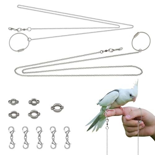 LELE LIFE Vogelleine mit Knöchelringen in 5 Größen, Edelstahl, Anti-Bissschutz, für Papageien, Vögel, Flugtraining, Kette, Beinseil, Outdoor, Papageien-Legierung, Fußring, 2 Stück von LELE LIFE