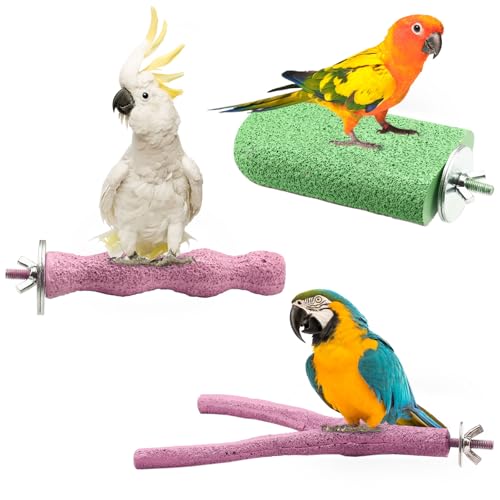 Vogel-Sitzstange, Sittich-Kauspielzeug, Papageienkäfig, Zubehör, raue Oberfläche, Schnabelpfote, Schleifharz, Stein, Nageltrimmstab, Plattform für Nymphensittiche, Wellensittiche, Ratten, 3 Farben, B Vogel-Sitzstange, Sittich-Kauspielzeug, Papageienkäfig, Zubehör, raue Oberfläche, Schnabelpfote, Schleifharz, Stein, Nageltrimmstab, Plattform für Nymphensittiche, Wellensittiche, Ratten, 3 Farben, B von LELE LIFE