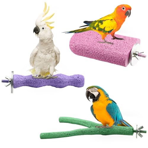 Vogel-Sitzstange, Sittiche, Kauspielzeug, Papageienkäfig, Zubehör, raue Oberfläche, Schnabelpfote, Schleifharz, Stein, Nageltrimmstab, Plattform für Nymphensittiche, Wellensittiche, Ratten, 3 Farben Vogel-Sitzstange, Sittiche, Kauspielzeug, Papageienkäfig, Zubehör, raue Oberfläche, Schnabelpfote, Schleifharz, Stein, Nageltrimmstab, Plattform für Nymphensittiche, Wellensittiche, Ratten, 3 Farben von LELE LIFE