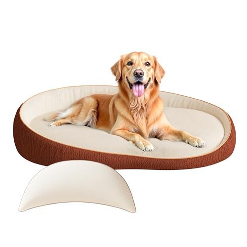 LELEFIDO XXL Orthopädisches Hundebett mit Kissen – Komfortables Hundesofa aus Memory Foam, Abnehmbarer & waschbarer Bezug – Hundebett für große Hunde, langlebig & gemütlich LELEFIDO XXL Orthopädisches Hundebett mit Kissen – Komfortables Hundesofa aus Memory Foam, Abnehmbarer & waschbarer Bezug – Hundebett für große Hunde, langlebig & gemütlich von LELEFIDO