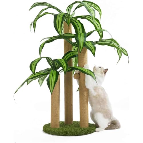 LEMONDA Kratzbaum für Katzen, 80 cm, mit 3 Kratzstangen und 2 interaktiven baumelnden Bällen, Katzenkratzbäume für Indoor-Kätzchen und ausgewachsene Katzen von LEMONDA