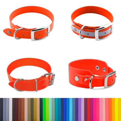 LENNIE 25mm breites Biothane Hunde-Halsband, Doppelstegschnalle, personalisiert mit Namen/Telefonnummer, schmutz-Wasser-abweisend von LENNIE