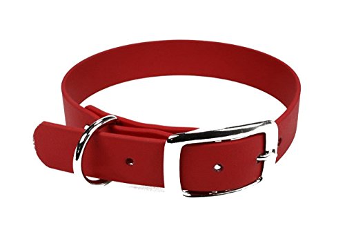 LENNIE BioThane Halsband, Dornschnalle, 13 mm breit, Größe 20-24 cm, Rot, Aufdruck möglich von LENNIE