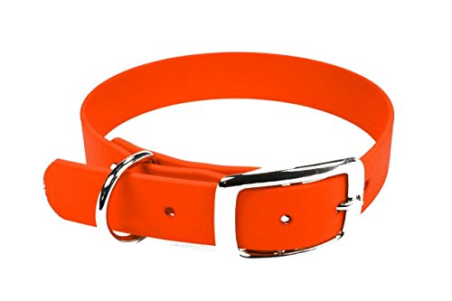 LENNIE BioThane Halsband, Dornschnalle, 13 mm breit, Größe 26-30 cm, Neon-Orange, Aufdruck möglich von LENNIE