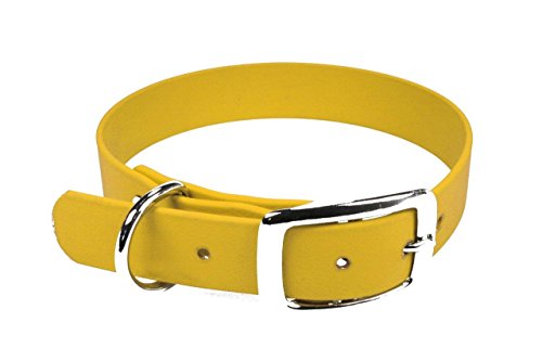 LENNIE BioThane Halsband, Dornschnalle, 16 mm breit, Größe 26-32 cm, Gelb, Aufdruck möglich von LENNIE