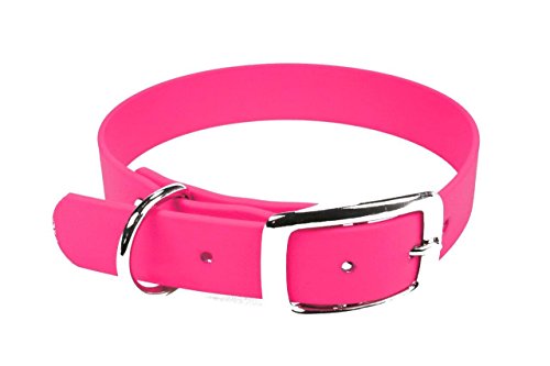 LENNIE BioThane Halsband, Dornschnalle, 16 mm breit, Größe 26-32 cm, Neon-Pink, Aufdruck möglich von LENNIE