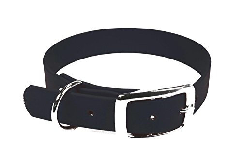 LENNIE BioThane Halsband, Dornschnalle, 16 mm breit, Größe 30-36 cm, Schwarz, Aufdruck möglich von LENNIE