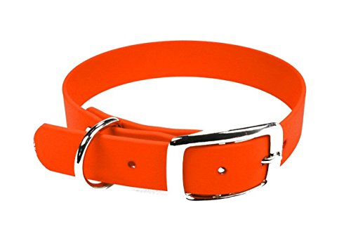 LENNIE BioThane Halsband, Dornschnalle, 19 mm breit, Größe 26-32 cm, Neon-Orange, Aufdruck möglich von LENNIE