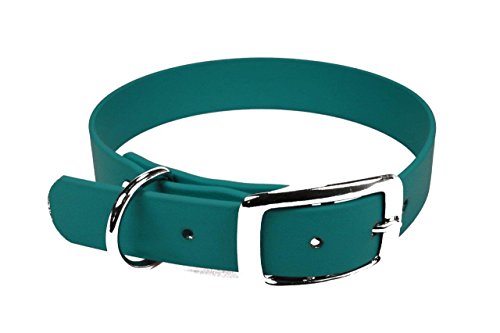 LENNIE BioThane Halsband, Dornschnalle, 19 mm breit, Größe 26-32 cm, Petrol/Teal, Aufdruck möglich LENNIE BioThane Halsband, Dornschnalle, 19 mm breit, Größe 26-32 cm, Petrol/Teal, Aufdruck möglich von LENNIE