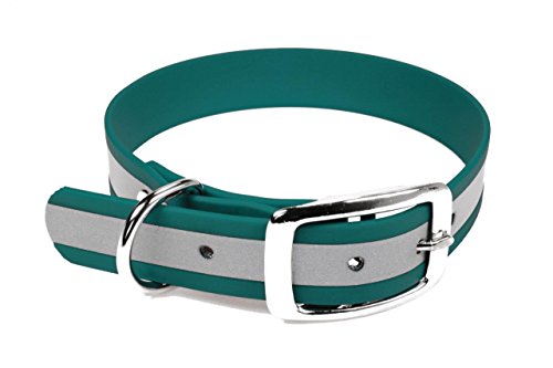 LENNIE BioThane Halsband, Dornschnalle, 19 mm breit, Größe 26-32 cm, Petrol/Teal-Reflex LENNIE BioThane Halsband, Dornschnalle, 19 mm breit, Größe 26-32 cm, Petrol/Teal-Reflex von LENNIE