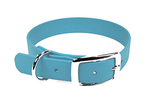 LENNIE BioThane Halsband, Dornschnalle, 19 mm breit, Größe 30-36 cm, Cyan/Türkis, Aufdruck möglich von LENNIE
