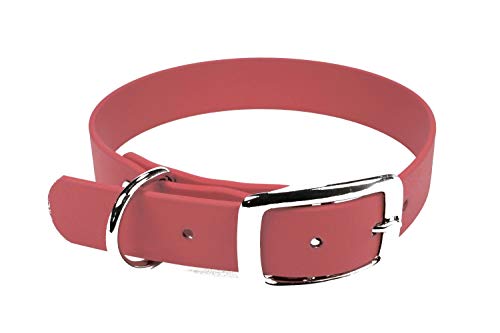 LENNIE BioThane Halsband, Dornschnalle, 19 mm breit, Größe 30-36 cm, Koralle, Aufdruck möglich von LENNIE