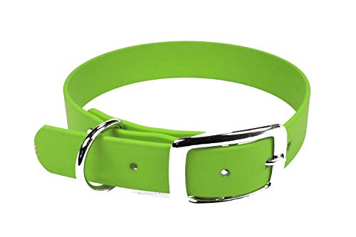 LENNIE BioThane Halsband, Dornschnalle, 19 mm breit, Größe 34-40 cm, Apfelgrün, Aufdruck möglich von LENNIE