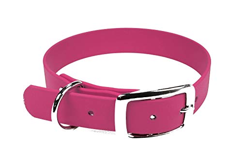 LENNIE BioThane Halsband, Dornschnalle, 19 mm breit, Größe 34-40 cm, Magenta, Aufdruck möglich von LENNIE