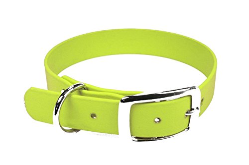 LENNIE BioThane Halsband, Dornschnalle, 19 mm breit, Größe 34-40 cm, Neon-Gelb, Aufdruck möglich von LENNIE