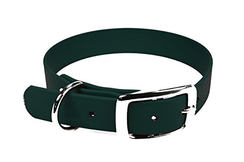 LENNIE BioThane Halsband, Dornschnalle, 25 mm breit, Größe 32-40 cm, Dunkelgrün, Aufdruck möglich von LENNIE