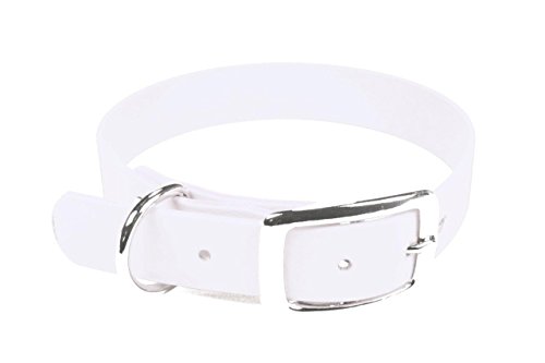 LENNIE BioThane Halsband, Dornschnalle, 25 mm breit, Größe 32-40 cm, Weiß, Aufdruck möglich LENNIE BioThane Halsband, Dornschnalle, 25 mm breit, Größe 32-40 cm, Weiß, Aufdruck möglich von LENNIE