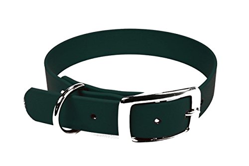 LENNIE BioThane Halsband, Dornschnalle, 25 mm breit, Größe 44-52 cm, Dunkelgrün, Aufdruck möglich von LENNIE