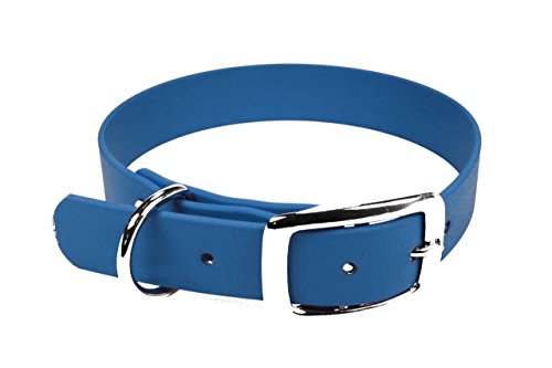 LENNIE BioThane Halsband, Dornschnalle, 25 mm breit, Größe 50-58 cm, Azurblau, Aufdruck möglich von LENNIE