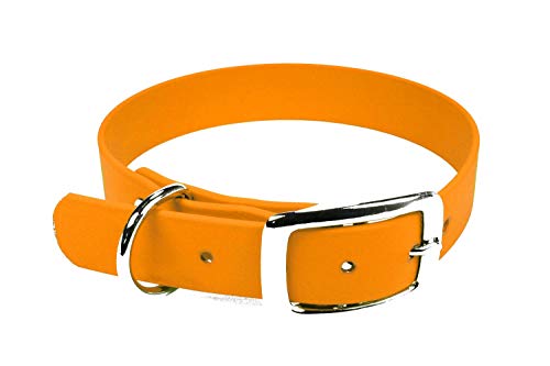 LENNIE BioThane Halsband, Dornschnalle, 25 mm breit, Größe 50-58 cm, Pastell-Orange, Aufdruck möglich von LENNIE