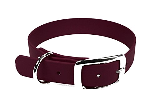 LENNIE BioThane Halsband, Dornschnalle, 25 mm breit, Größe 50-58 cm, Weinrot, Aufdruck möglich LENNIE BioThane Halsband, Dornschnalle, 25 mm breit, Größe 50-58 cm, Weinrot, Aufdruck möglich von LENNIE
