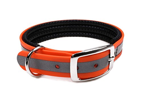 LENNIE BioThane Halsband, gepolstert, Dornschnalle, 19 mm breit, Größe 30-36 cm, Neon-Orange-Reflex von LENNIE