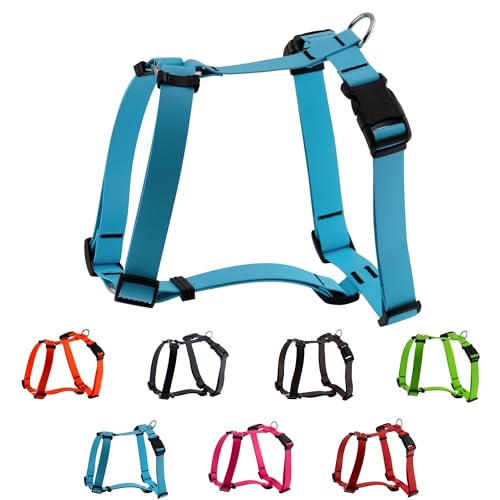 LENNIE Biothane Geschirr für Hunde, wasserdicht, verstellbar, H-Geschirr, Hundegeschirr, Führgeschirr, Größe M, Cyan/Türkis LENNIE Biothane Geschirr für Hunde, wasserdicht, verstellbar, H-Geschirr, Hundegeschirr, Führgeschirr, Größe M, Cyan/Türkis von LENNIE