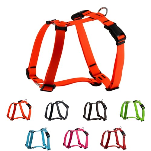 LENNIE Biothane Geschirr für Hunde, wasserdicht, verstellbar, H-Geschirr, Hundegeschirr, Führgeschirr, Größe M, Neon-Orange LENNIE Biothane Geschirr für Hunde, wasserdicht, verstellbar, H-Geschirr, Hundegeschirr, Führgeschirr, Größe M, Neon-Orange von LENNIE