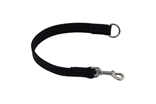 LENNIE Ruckdämpfer/elastisches Gurtband/Verschiedene Größen/Hunde-Leinen-Adapter [20 mm, Edelstahl] von LENNIE