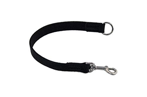 LENNIE Ruckdämpfer/elastisches Gurtband/Verschiedene Größen/Hunde-Leinen-Adapter [25 mm, Edelstahl] von LENNIE