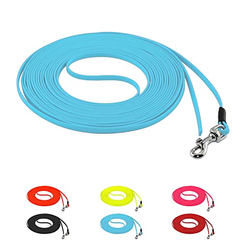 LENNIE Ultraleichte BioThane Schleppleine für Hunde/Katzen bis 3 kg, 5 mm LACE, 3m lang, ohne Handschlaufe, Cyan/Türkis, genäht von LENNIE