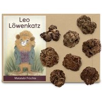 LEO LÖWENKATZ Matatabi Früchte (Silvervine Früchte), 20 Gramm Beutel von LEO LÖWENKATZ