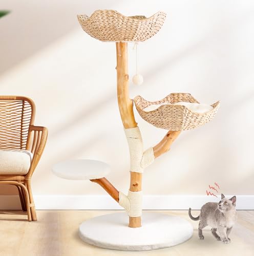 Moderner Kratzbaum aus echtem Holz, für Indoor-Katzen, große Erwachsene, robuster Holz-Kratzbaum, Kitty-Kletterturm mit Bett, einzigartige Höhle, Boho-Ästhetik, Luxus-Haustiermöbel von Leo & Lexi Moderner Kratzbaum aus echtem Holz, für Indoor-Katzen, große Erwachsene, robuster Holz-Kratzbaum, Kitty-Kletterturm mit Bett, einzigartige Höhle, Boho-Ästhetik, Luxus-Haustiermöbel von Leo & Lexi von LEO & LEXI