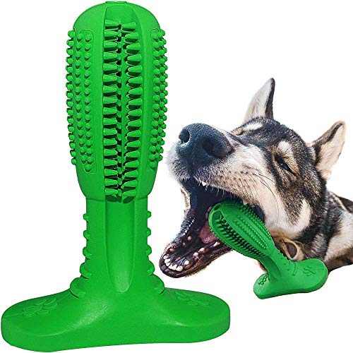 LEONMAR Hunde Zahnbürste Creme-Geschmack - Naturkautschuk Hundezahnbürste - Zahnreinigung für kleine und große Hunde (Zahnbürste) von LEONMAR