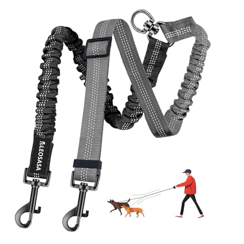 LEOSASA 2-in-1-Doppel-Hundeleine, 360° drehbar, kein Verheddern, Splitter-Befestigung, 2 Hunde, taktikell, multifunktional, für Spaziergänge, Zug, kleine, mittelgroße und große Haustiere (Schwarz LEOSASA 2-in-1-Doppel-Hundeleine, 360° drehbar, kein Verheddern, Splitter-Befestigung, 2 Hunde, taktikell, multifunktional, für Spaziergänge, Zug, kleine, mittelgroße und große Haustiere (Schwarz von LEOSASA