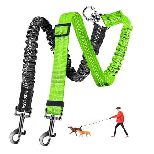LEOSASA 2-in-1-Doppel-Hundeleine, 360° drehbar, kein Verheddern, für Hunde, multifunktional, für Spaziergänge im Freien, Zug, kleine, mittelgroße und große Hunde, Schwarz, Grün LEOSASA 2-in-1-Doppel-Hundeleine, 360° drehbar, kein Verheddern, für Hunde, multifunktional, für Spaziergänge im Freien, Zug, kleine, mittelgroße und große Hunde, Schwarz, Grün von LEOSASA